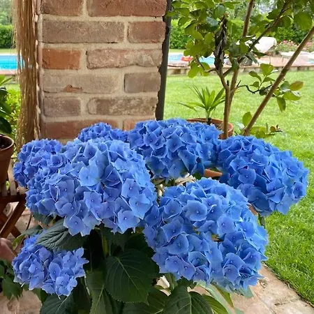 Vila Cascina Bellavista - Luxury Country + Pool Altavilla Monferrato